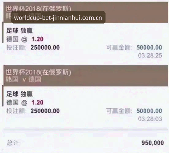 金年会无障碍访问 世界杯买球平台深度评测:金年会无障碍访问全流程体验报告