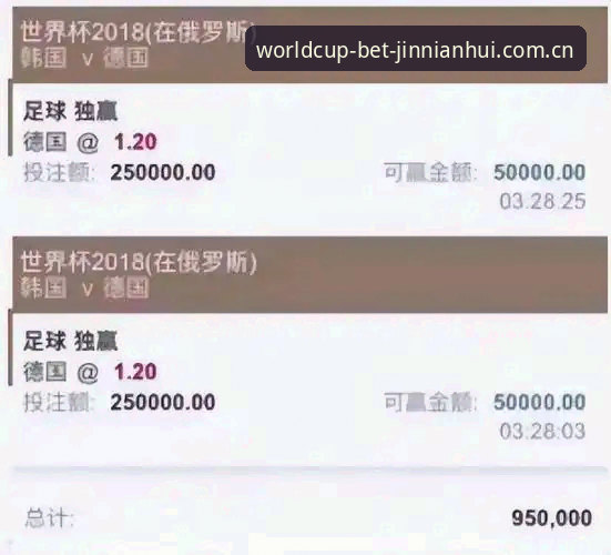 揭秘世界杯买球平台金年会电脑版的真实体验：你不知道的那些关键细节